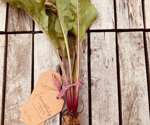 Rote Bete aus dem Hochbeet